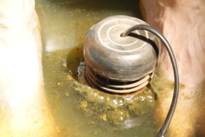 Toxinas eliminadas Toxinas eliminadas